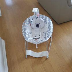 Gray And White Bouncer