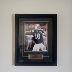 NFL COLTS PAYTON MANNING PICTURE