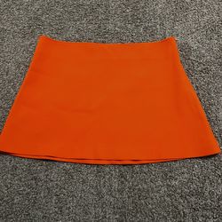 Zara Mini Skirt