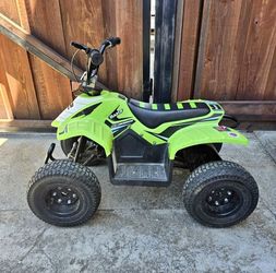 Razor Kids Quad / Upgraded ATV 36V Lithium Battery