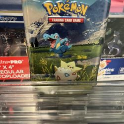 Pokemon Mini Tin(ascended heroes