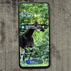 Factory Unlocked Samsung Galaxy S24 FE