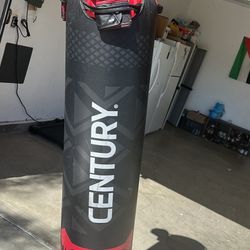 Boxing Bag