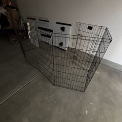 Play For A Pet. $20 OBO. 