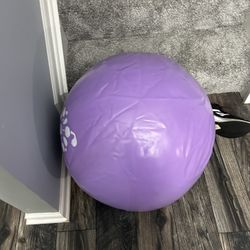 Brand new Exercise ball