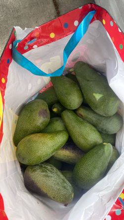 avocados