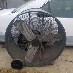 Shop Fan