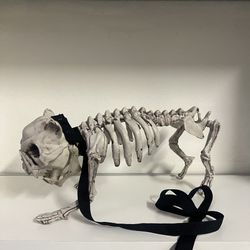Halloween Dog Skeleton With Spiked Collar Leash Decoration  
