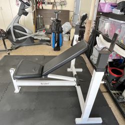 Olympic Weight Bench with Bar