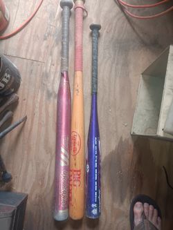 Bats Softball Three