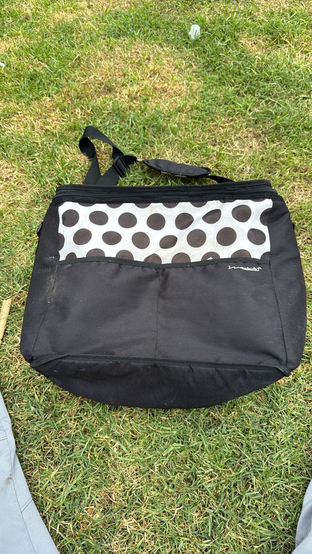 Insulated Cooler Sports Or Beach