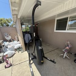 Everlast Punching Bag With Stand