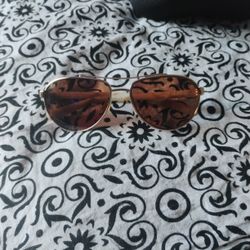 Costa Fernandina Sunglasses 
