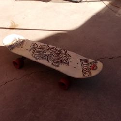 Hand Painted Skateboard