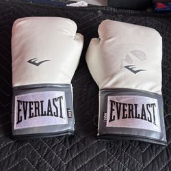 Boxing Gloves 