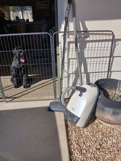 Miele Pearl Canister Vacuum