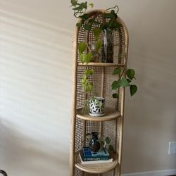 Rattan Plant Stand/ Book Case 