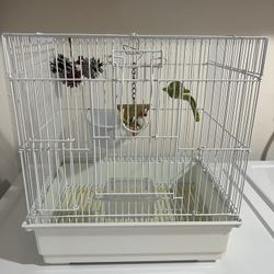 Cage