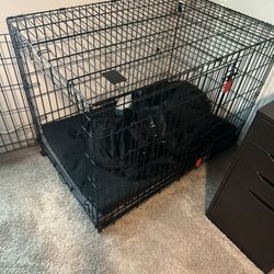 Large Double Door Kong Crate 