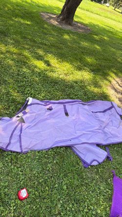 Schneider purple flysheet horse tack 84”