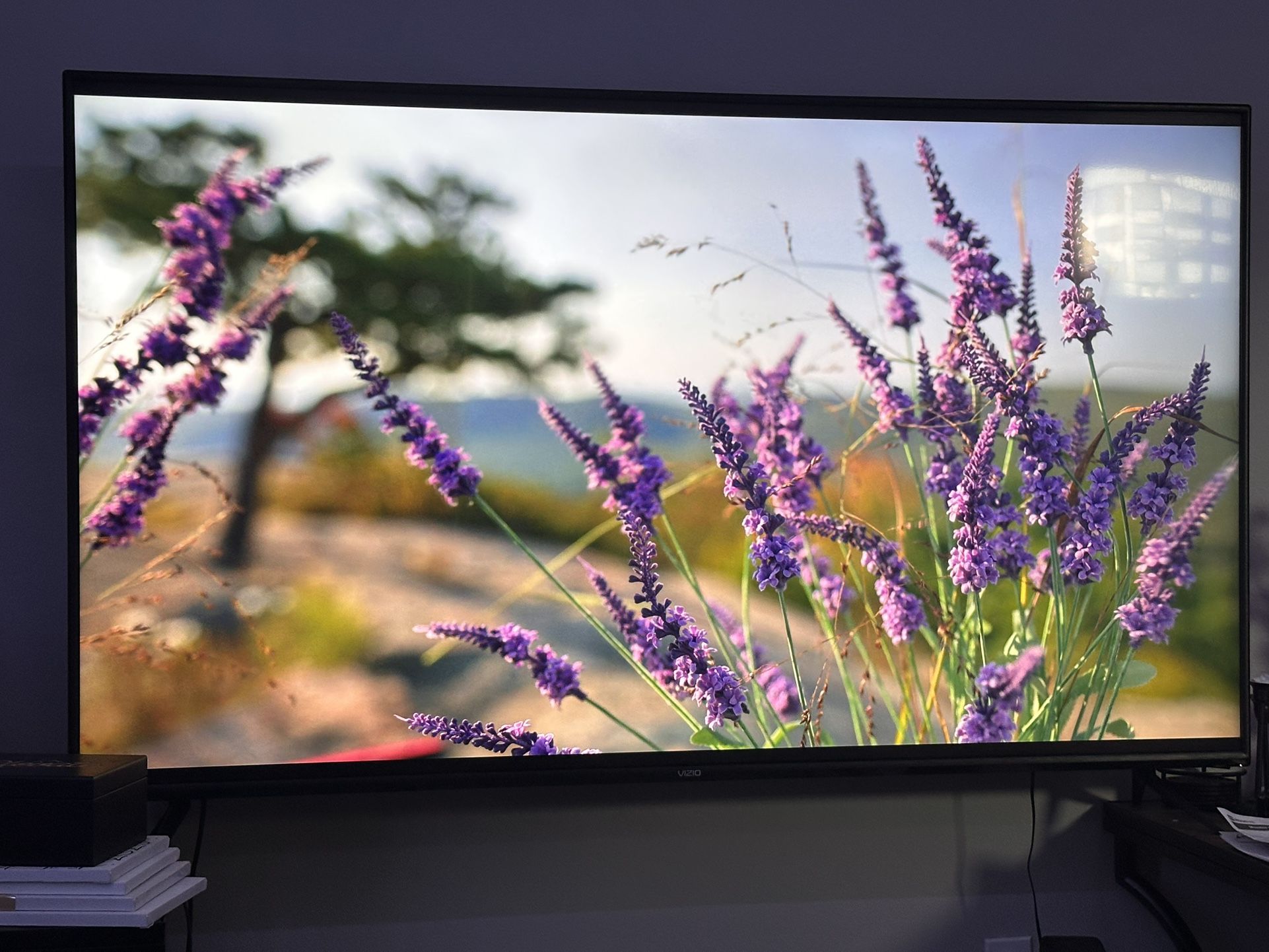 70” Vizio Smart TV