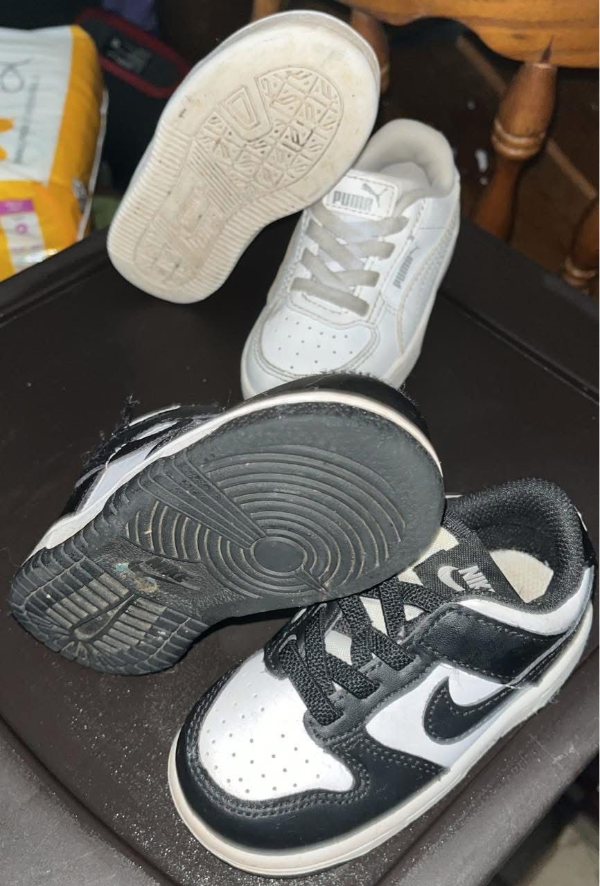 Pandas & Pumas