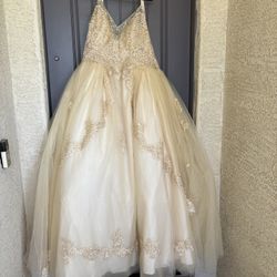 Party Dress /quincellera/ Wedding Dress 