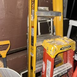 Dewalt Ladder 