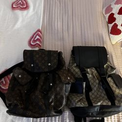 Louis Vuitton And Gucci Backpack