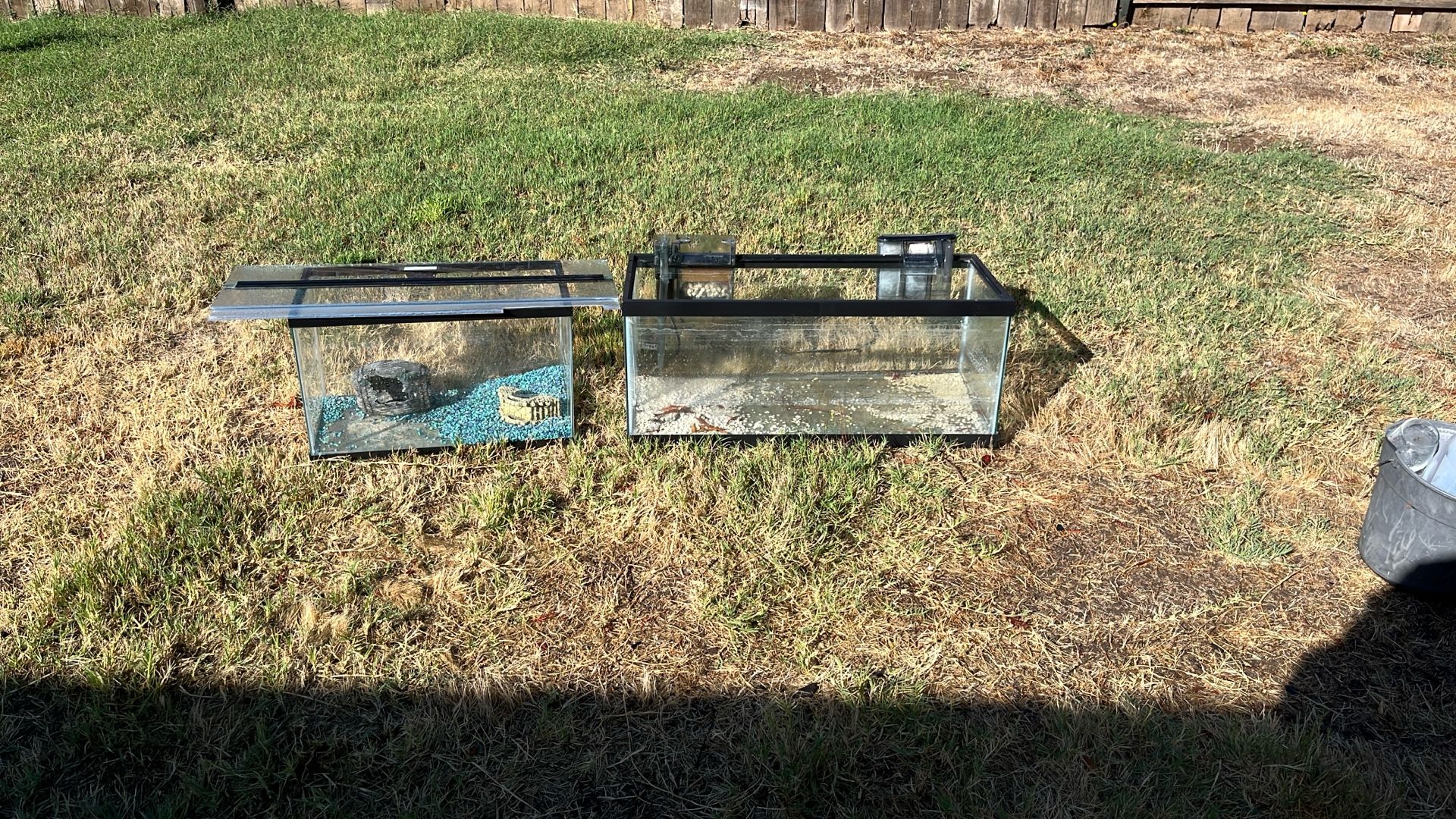 Two Fish Tanks Free