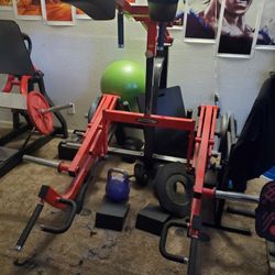 Leg Press ...Lunge /Squat