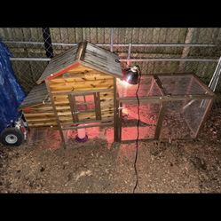 Chicken Coop