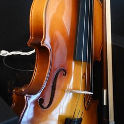 Violin