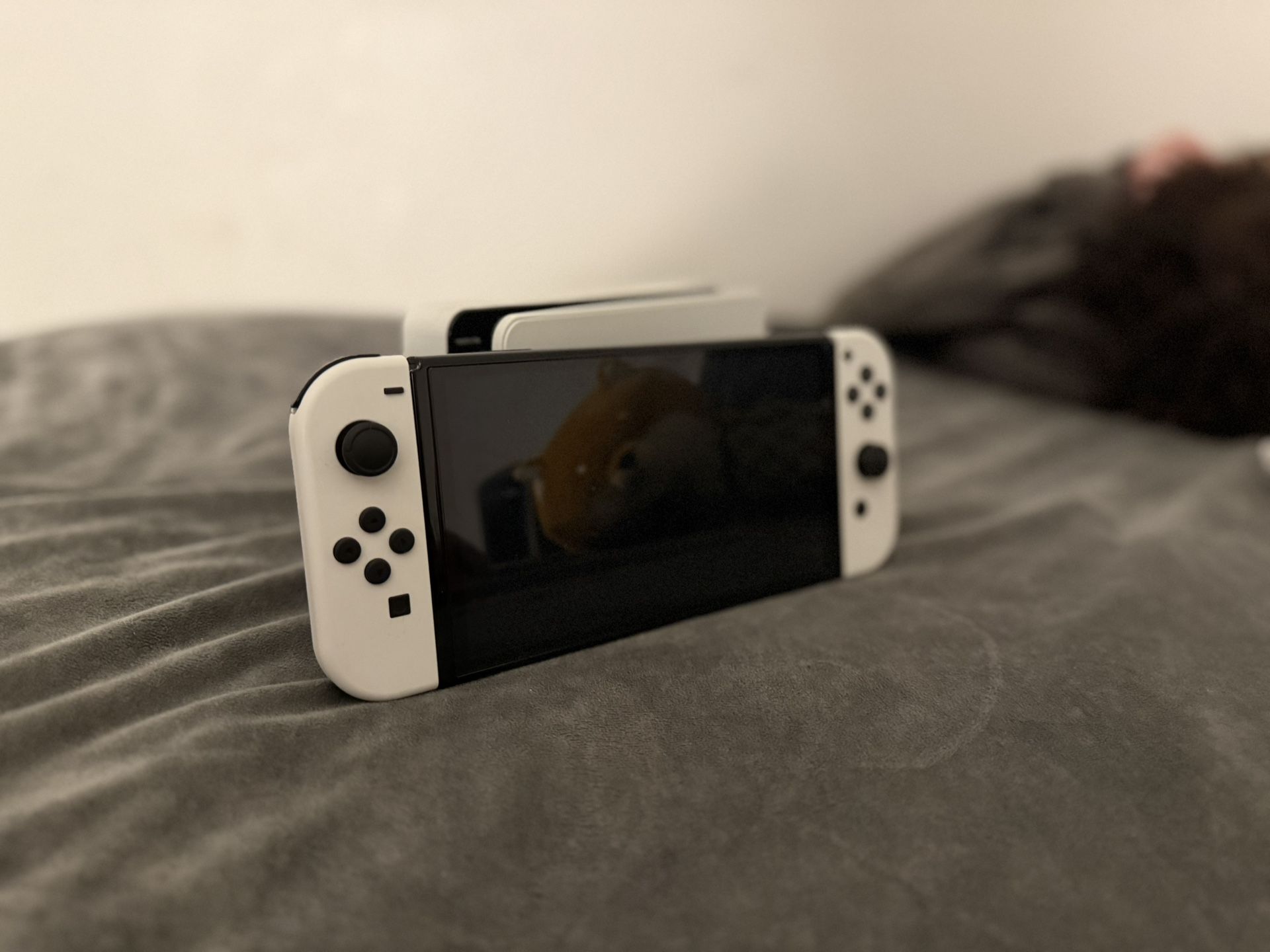 Nintendo Switch OLED Display 