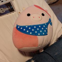 Squishmallow 