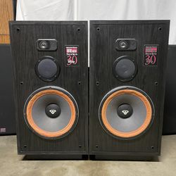 Cerwin Vega RE Series 30 Speakers Pair 