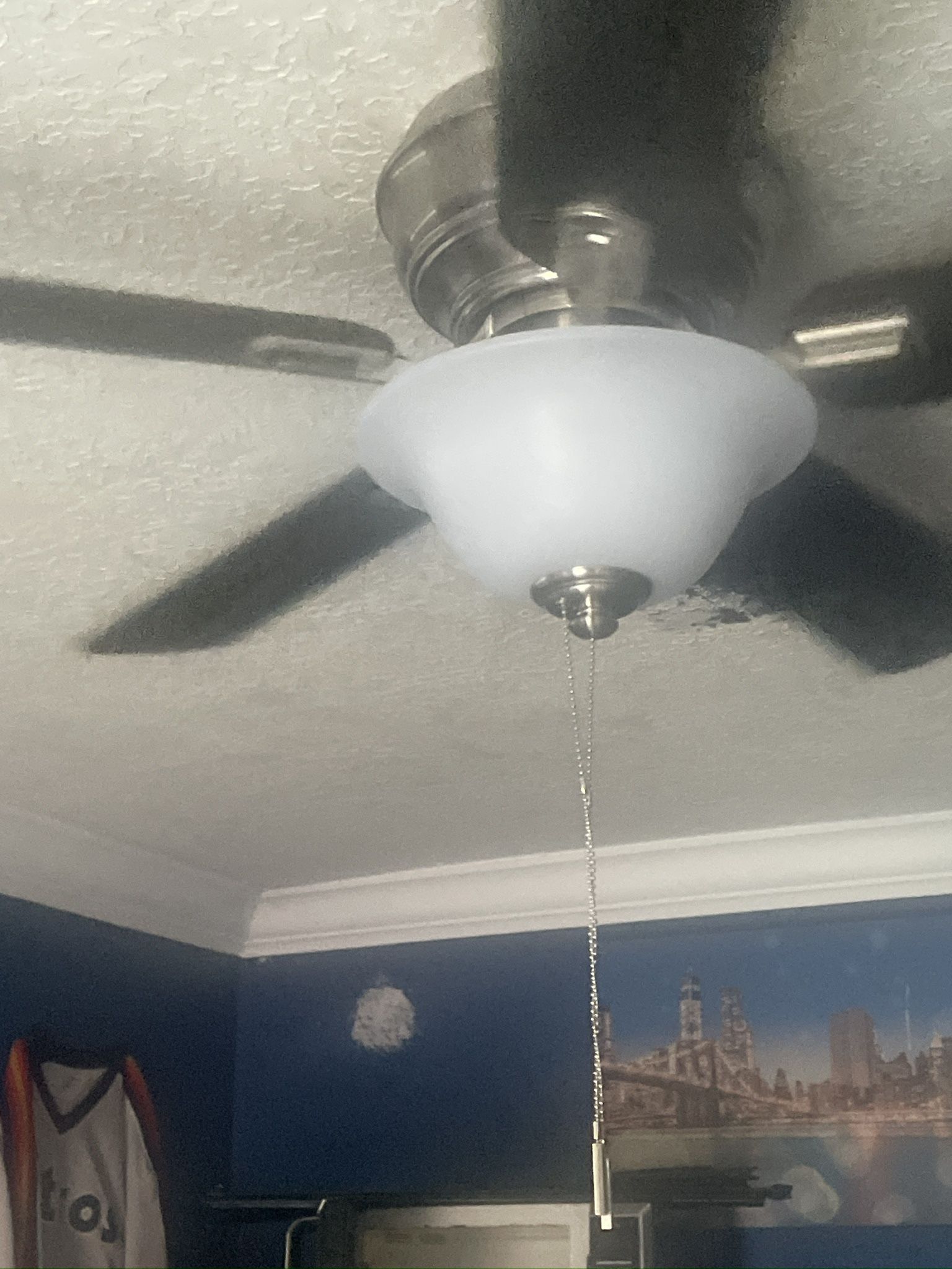 Ceiling Fans