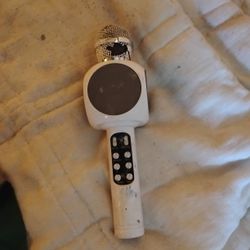 Karaoke Microphone 