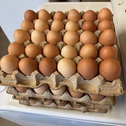Fresh Eggs (Flat of 30). $15