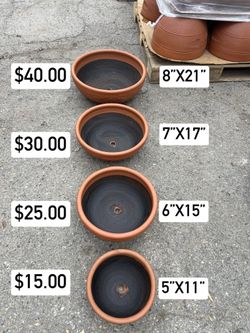 Succulents Clay Pots 