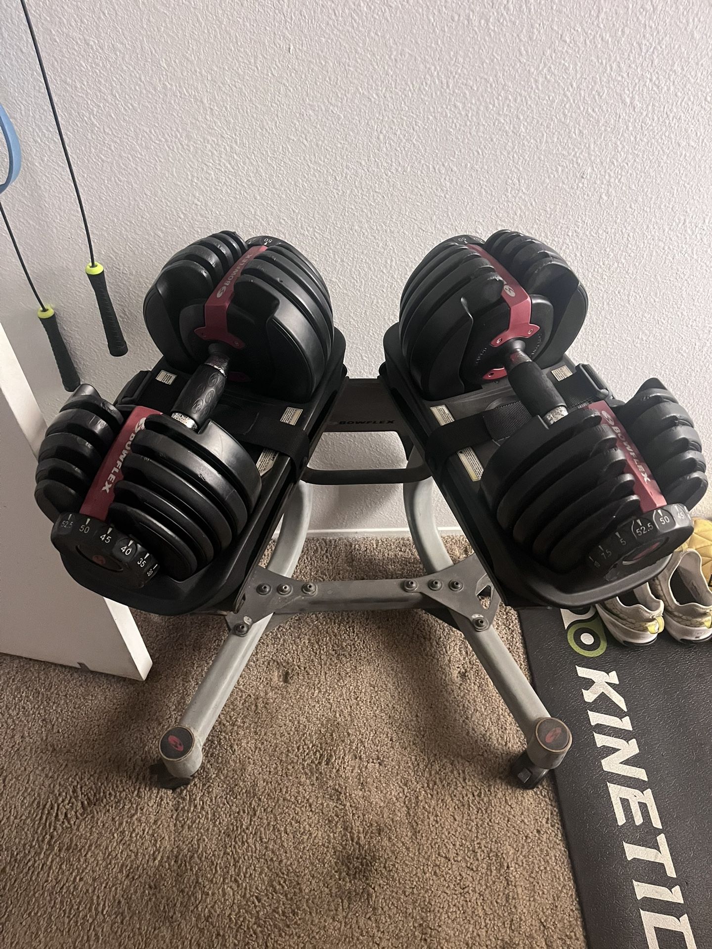 Bowflex SelectTech 552 Dumbbells
