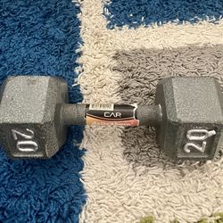 20 Pound Dumbbell (Single)