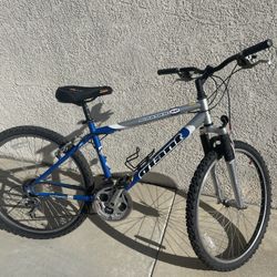 Giant Mountain Bike