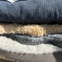 Costco Dog Beds 