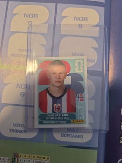 Erling haaland fifa sticker