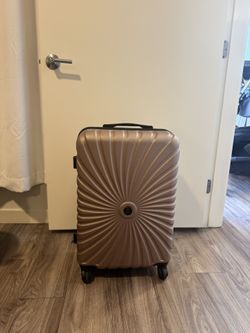 Check In Luggage