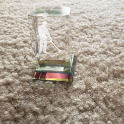 Laser Etched 3D Crystal Glass Paper Weight
