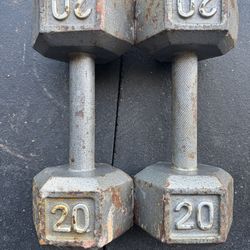 20LB Dumbbells