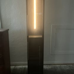 Black Cabinet With Shelf And Lighting 