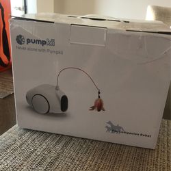 Pumpkii Pet Companion Robot